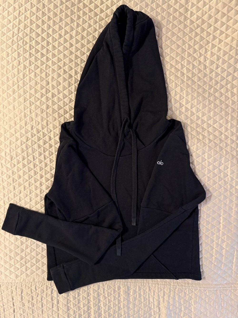 ALO Renown Heavy Weight Hoodie (cropped)